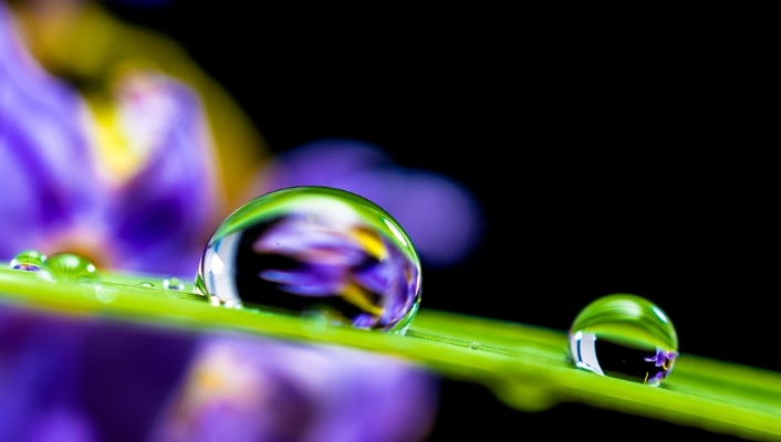 CC 815 goutte d'eau.jpg